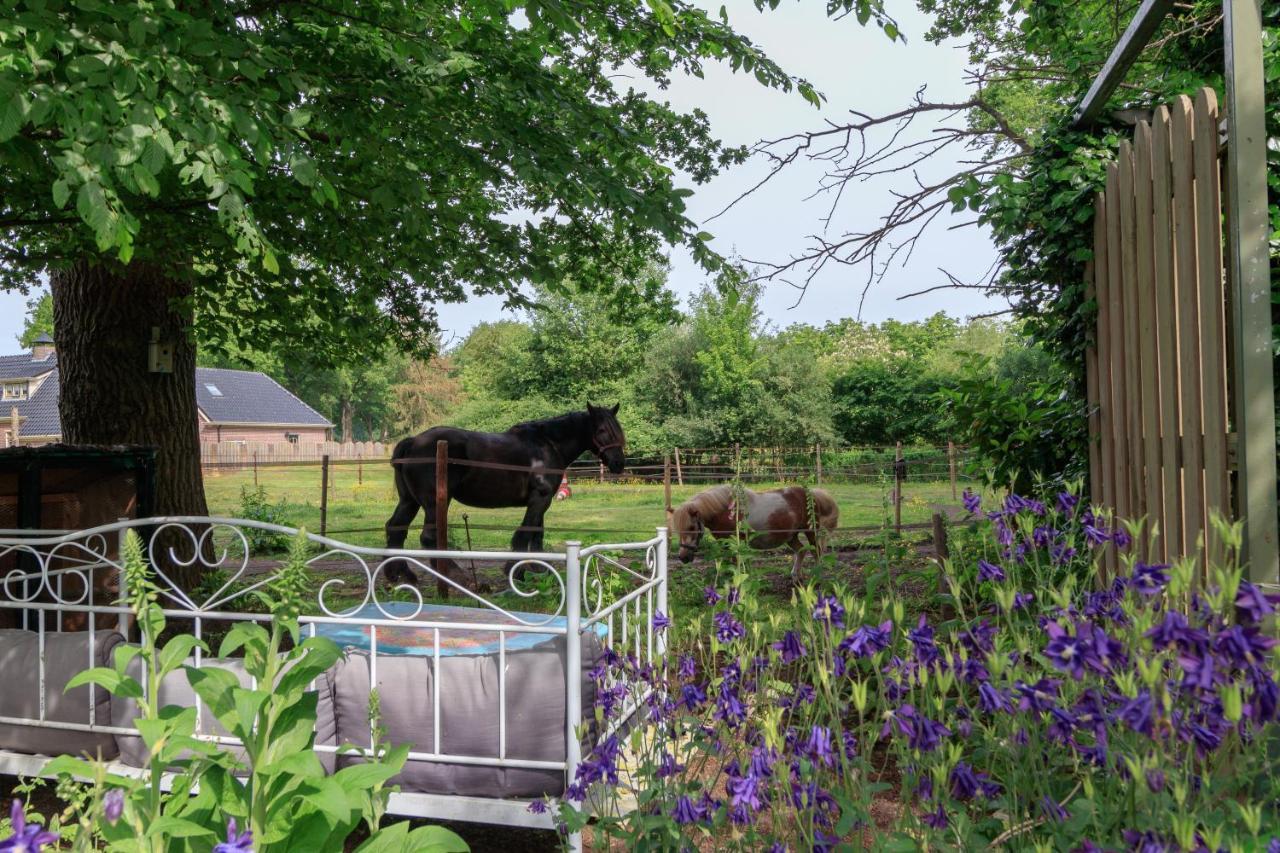 Appartement Het Grote Paard à Havelte Extérieur photo