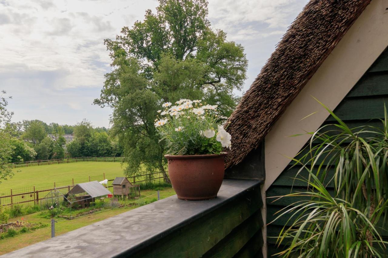 Appartement Het Grote Paard à Havelte Extérieur photo