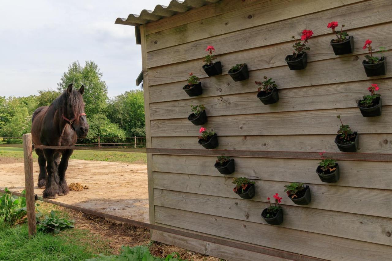 Appartement Het Grote Paard à Havelte Extérieur photo
